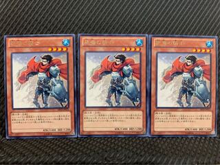 【ぽぽたん】遊戯王 2538 絶海の騎士 3枚 レア