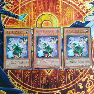 Puppet Plant Normal JP022