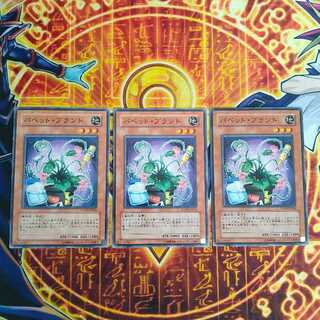 Puppet Plant Normal JP022