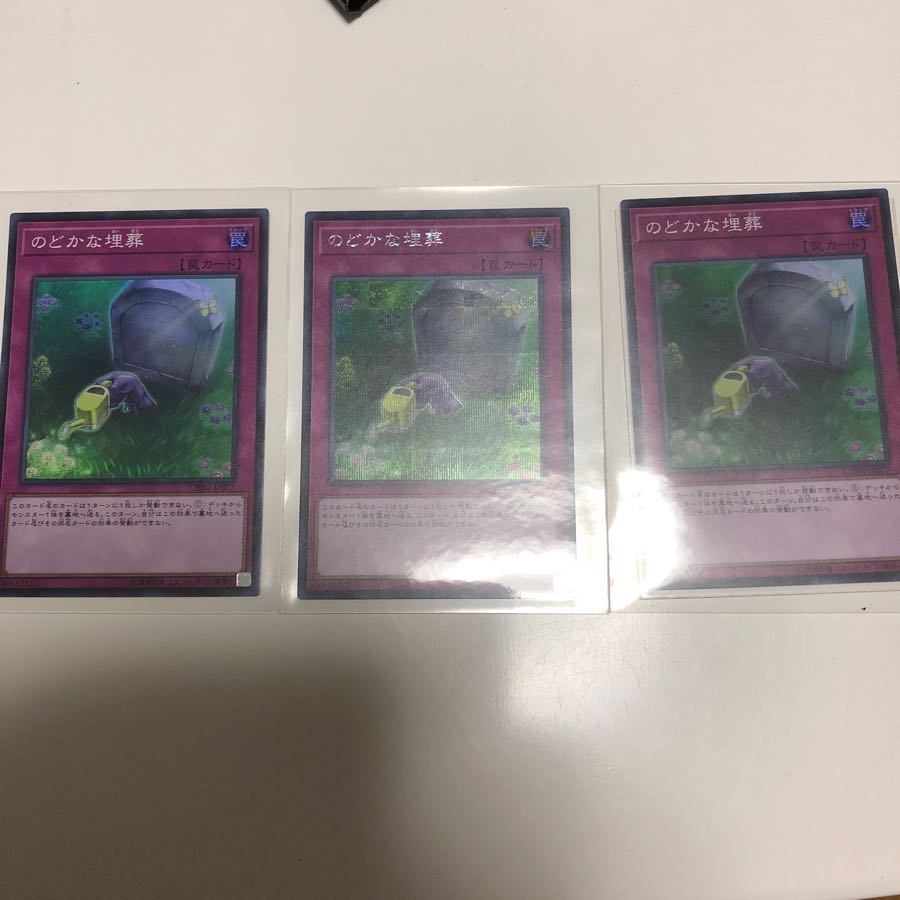 のどかな埋葬 SE+SR2