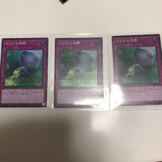 のどかな埋葬 SE+SR2