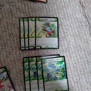 ジャスミン　フェアリーライフ