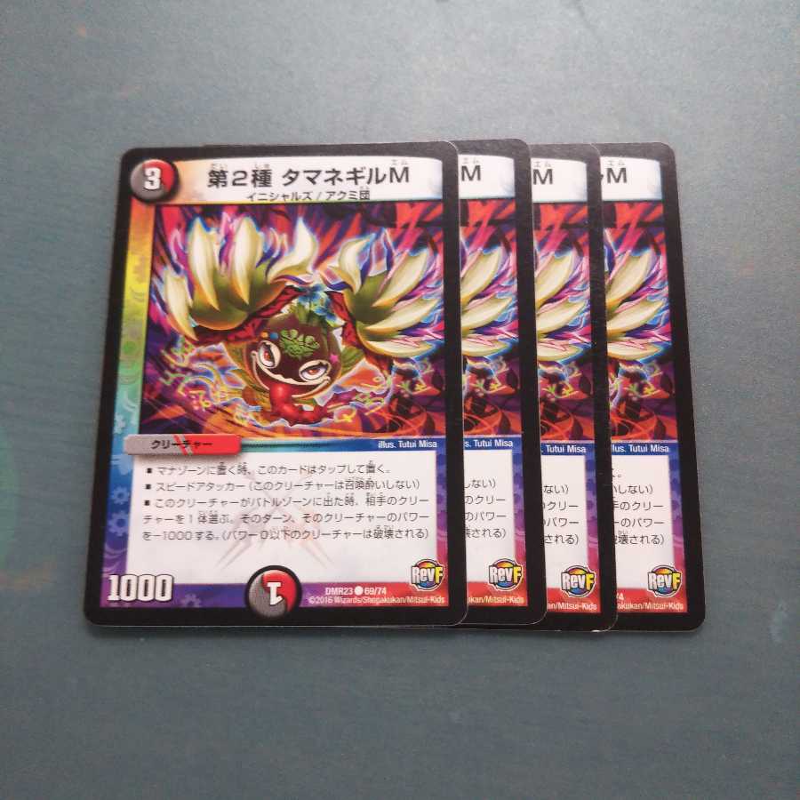 第2種 タマネギルM 4枚セット 796