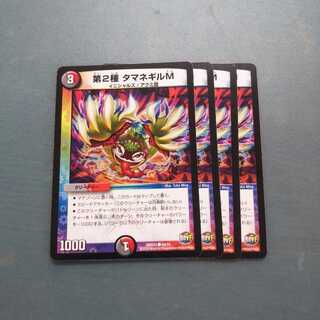 第2種 タマネギルM ４枚セット797