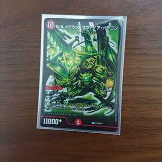 Bormetheus sapphire dragon