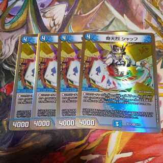 Kitanetsu Schaff VR 5/18