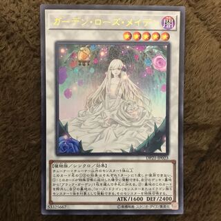 ガーデン・ローズ・メイデン UR