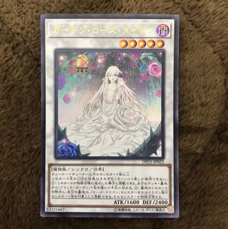 ガーデン・ローズ・メイデン UR