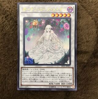 ガーデン・ローズ・メイデン UR