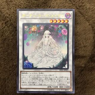 ガーデン・ローズ・メイデン UR