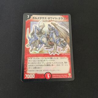 ボルメテウス・ホワイト・ドラゴン