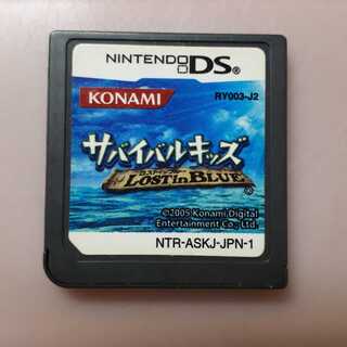 DSサバイバルキッズロストインブルー
