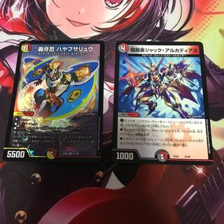 ハヤブサリュウ