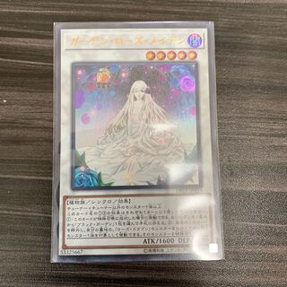 ガーデン・ローズ・メイデン UR