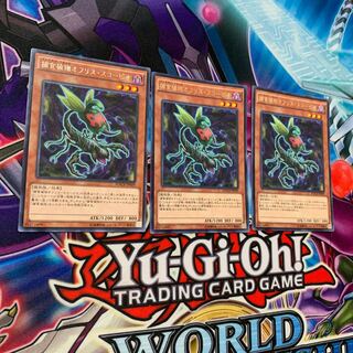 捕食植物オフリス・スコーピオ R