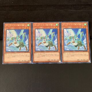 ホップ・イヤー飛行隊 R