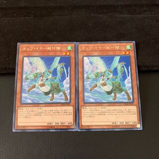 ホップ・イヤー飛行隊 R