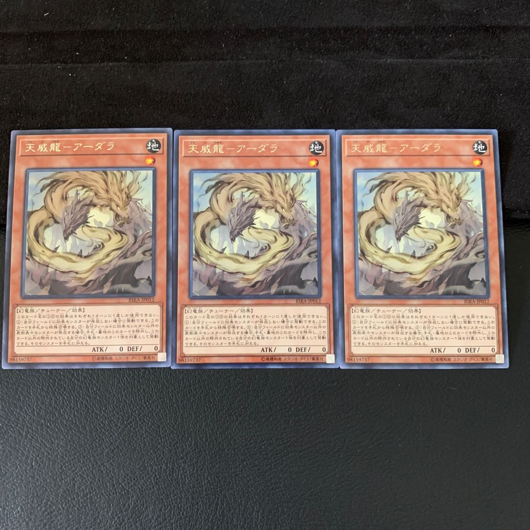 だる様専用天威龍-アーダラ R