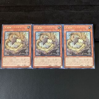 だる様専用天威龍-アーダラ R