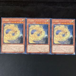 天威龍-アシュナ R