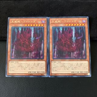 デュオ様専用天威龍-ヴィシュダ R