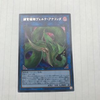 捕食植物ヴェルテ・アナコンダ UR