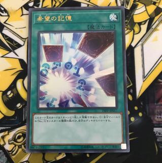 【即日発送可能】希望の記憶