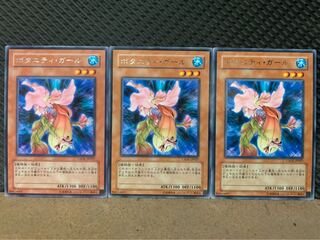 【ぽぽたん】遊戯王 1778 ボタニティ・ガール 3枚 レア