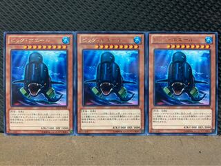 【ぽぽたん】遊戯王 2637 ビッグ・ホエール 3枚 レア