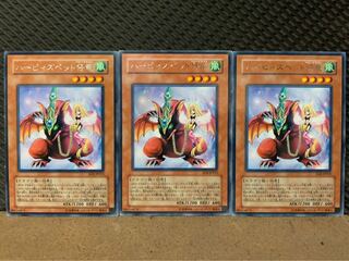 【ぽぽたん】遊戯王 6258 ハーピィズペット仔竜 3枚 レア