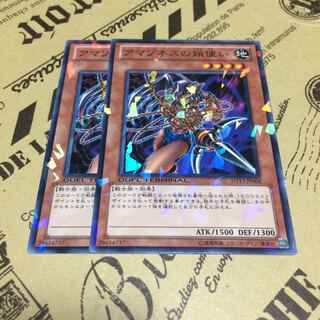 アマゾネスの鎖使い【NP】