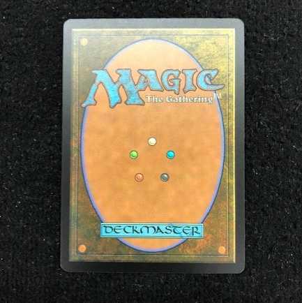 戦慄衆の将軍、リリアナ 日 絵違い①