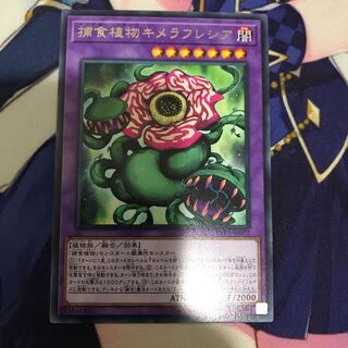 捕食植物キメラフレシア R