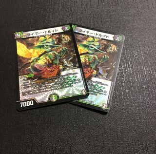 ライマー・ドルイド