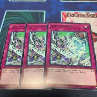 猛進する剣闘獣