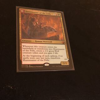 高原の狩りの達人