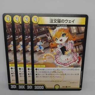 注文猫のウェイ C 70/89