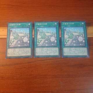 白薔薇の回廊 N 3枚セット