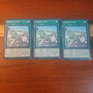 白薔薇の回廊 N 3枚セット