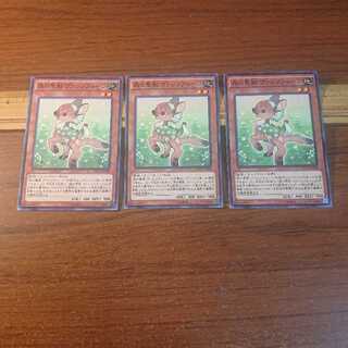 森の聖獣 ヴァレリフォーン N 3枚セット