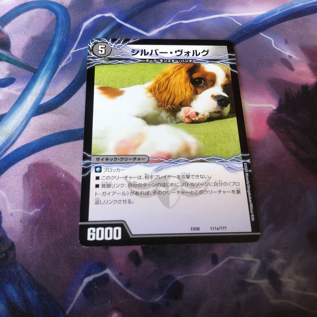 シルバー・ヴォルグ|撃墜王ガイアール・キラードラゴン(下)