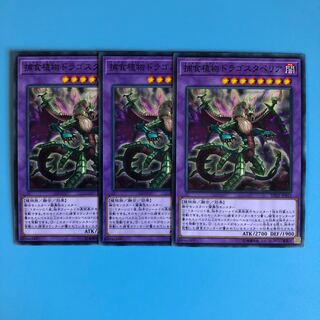 捕食植物ドラゴスタペリア ×3【 遊戯王 ・プレイ用】ノーマル