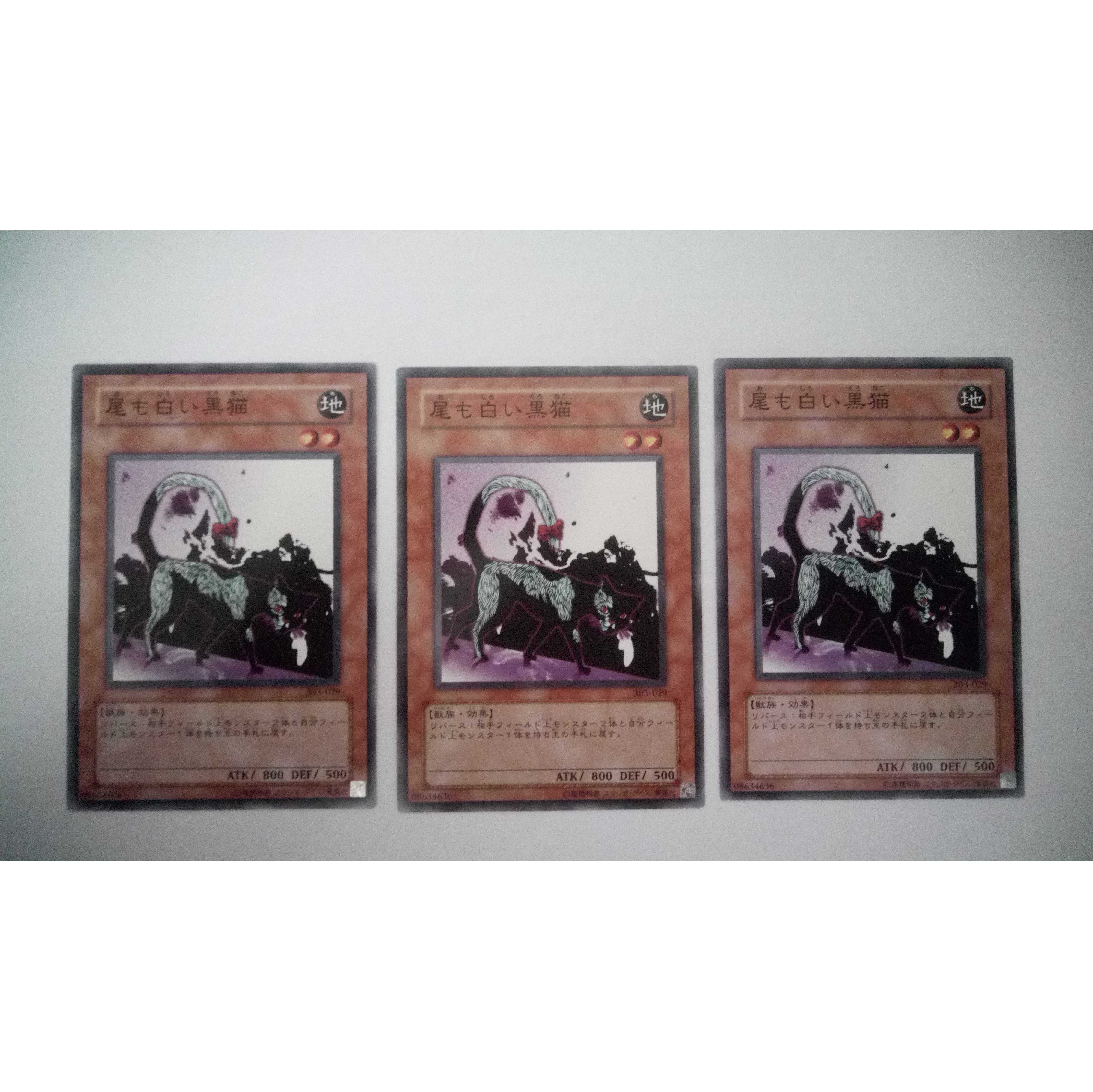 ☆尾も白い黒猫【N】3枚