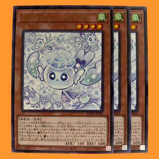 ROTA24R マルチャミー・フワロス 3枚