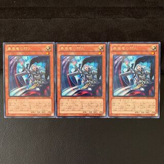 暴風竜の防人 R