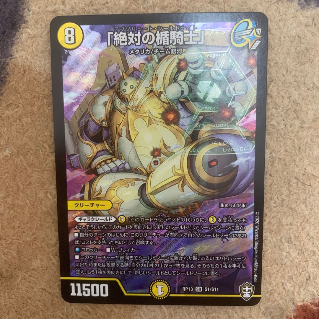 「絶対の楯騎士」