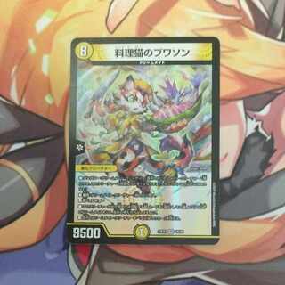 料理猫のプワソン VR 16/89