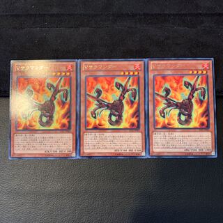 Vサラマンダー R