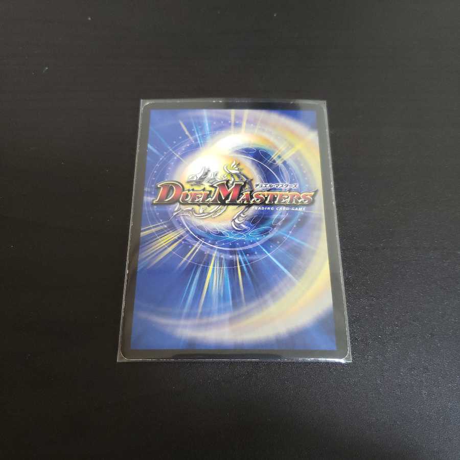 クリスタル・パラディン