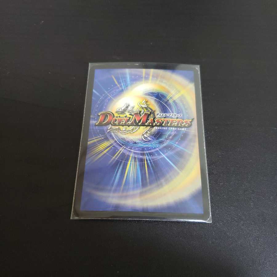 守護聖天ラディア・バーレ